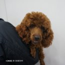 해동물병원 이미지