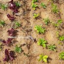 오곡2농장 이미지