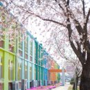 낭산초등학교 이미지