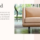 에스쇼파