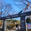 인천대공원(썰매장입구) | 인천가볼만한곳 인천대공원 동물원 버스/주차정보, 생생후기