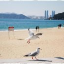 박프로 국제 행정사사무소 이미지