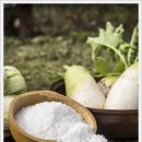 일동상회 이미지