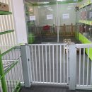 클라우드 펫 호텔 이미지