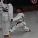 라이온태권도 이미지