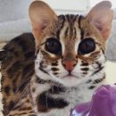 반송동099 이미지