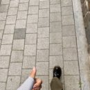 성수온누리약국 이미지