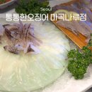 통통한오징어 | 마곡나루역 횟집 추천 통통한오징어 오징어회 새우구이 후기