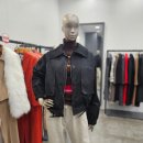 제시 뉴욕 이미지