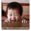 현수목장 이미지