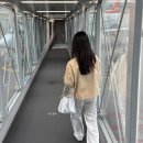 이지트래블국제 | 대만 타이베이 여행 후기 첫째날 MRT 이지카드 시먼딩 행복당 우유도넛 용산사 양산박 닝샤야시장까지