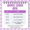 진량동물병원 이미지