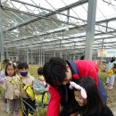 농부아저씨 이미지