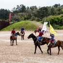 더마파크 이미지