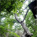 새소리 물소리 이미지