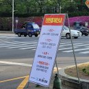 산본로 (양방향) | [군포 아기랑 나들이] 군포 철쭉축제(철쭉공원, 철쭉동산, 산본로데오거리) 미리 구경하기(축제 일정...