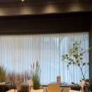 드라마성형외과의원 이미지