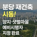 (주)한국토지신탁 | ✅분당 재건축 선도지구 4곳 드디어 첫걸음! 샛별·양지·현대우성·목련마을 임장후기