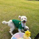 제임스치즈등갈비원광대점 | 공부하기 너무 싫어서 쓰는 포스팅 으아아아아악