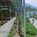 학천마을회관 이미지