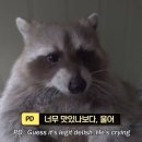 등촌샤브샤브칼국수 국회의사당점 | #종말의 2024