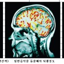 썬앤미뇌과학최경민 이미지