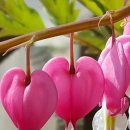 국토보상 행정사 사무소 이미지