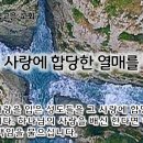 11월 28일(목) 주님의 사랑에 합당한 열매를 맺으라! 이미지