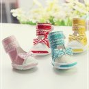 큐티애견 이미지