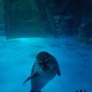 용인대스카이태권도 이미지