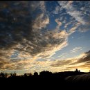 초록정원 이미지