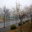 충남농산 - 공주시 산성시장4길 94-17 | 충남농산