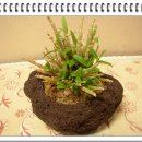 석곡농장 이미지