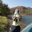 덕곡낚시터 이미지