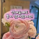 신대숲음악학원