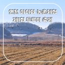 연천초등 | 연천 가볼만한곳 나룻배마을 두루미 축제 겨울방학 아이랑 농촌체험 후기