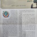 벌교태인 이미지