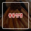 용용 이미지