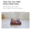 사각사람연구소 이미지