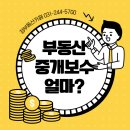 정부동산중개&카페 이미지