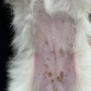 이솜동물병원 이미지