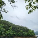 평림 Daum카페