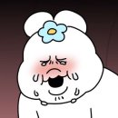 스테이솔올 이미지