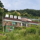 도담칼국수 이미지