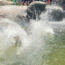 철수맥주(천상) | 대구에서 1시간! 거창 월성계곡 완전정복 | 평상 바베큐 + 다이빙 + 물놀이 총정리