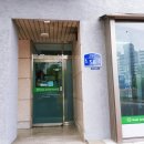 [동물병원]계룡 '노아 동물병원' 방문 및 고양이 진료후기