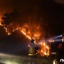 차별받는 산불 재난 특수진화대..국민청원... 이미지