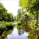 신록1로 이미지