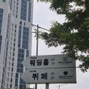 센텀7로 | [공지] 🎀[2026년11월] 센텀 그랜드블랑 웨딩홀(카로스홀/퀸덤홀) 홀투어 후기/견적공유