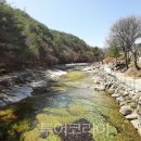 백운 이미지